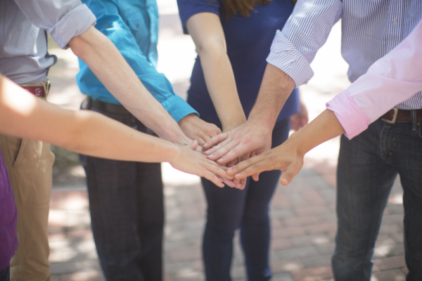 How to Find a Trustworthy and Reputable Marketing Agency for Your Lawn and Landscaping Business