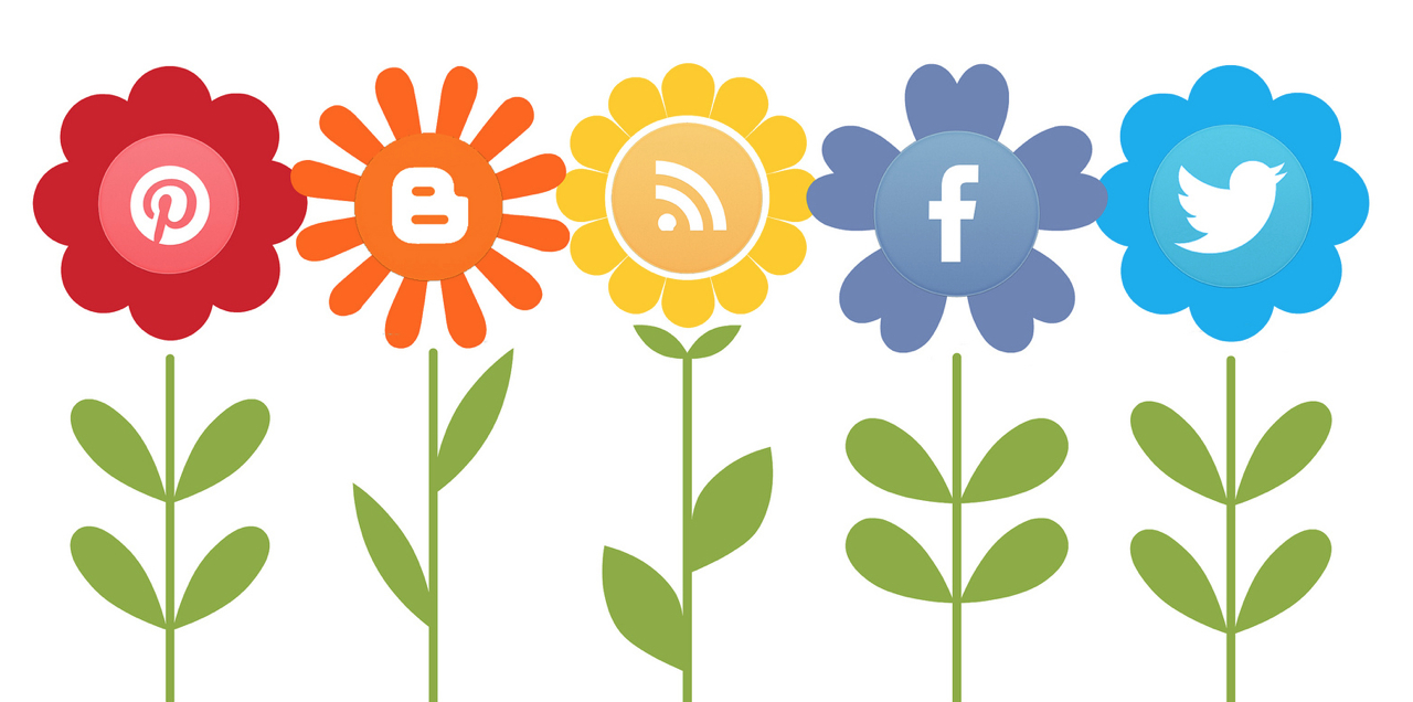 Twitter Gets An Upgrade. What Does This Mean For Your Green Business?