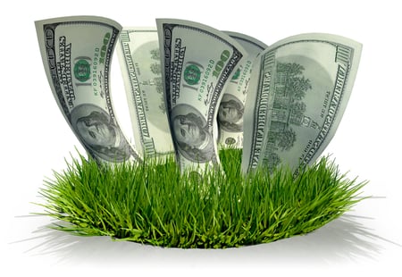 3D Hundred dollar bills growing in the grass isolated over white