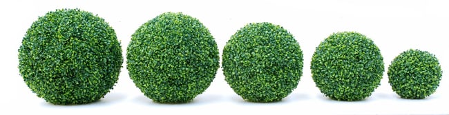 boxwood_balls_02.jpg