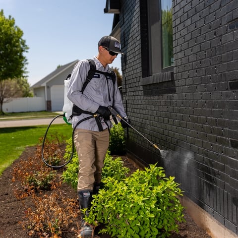 Technician Crew Spraying Exterior Pest Control 1