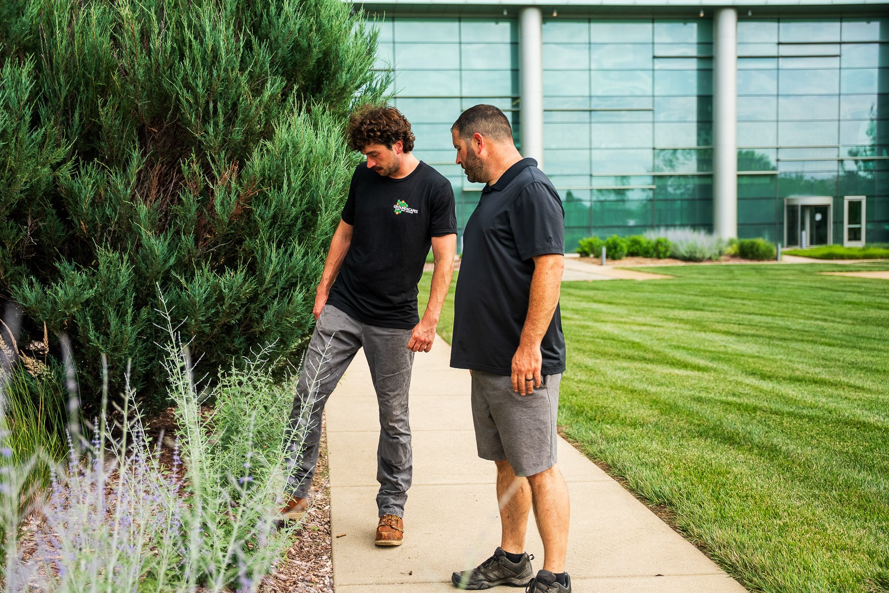 account manager groundscapes