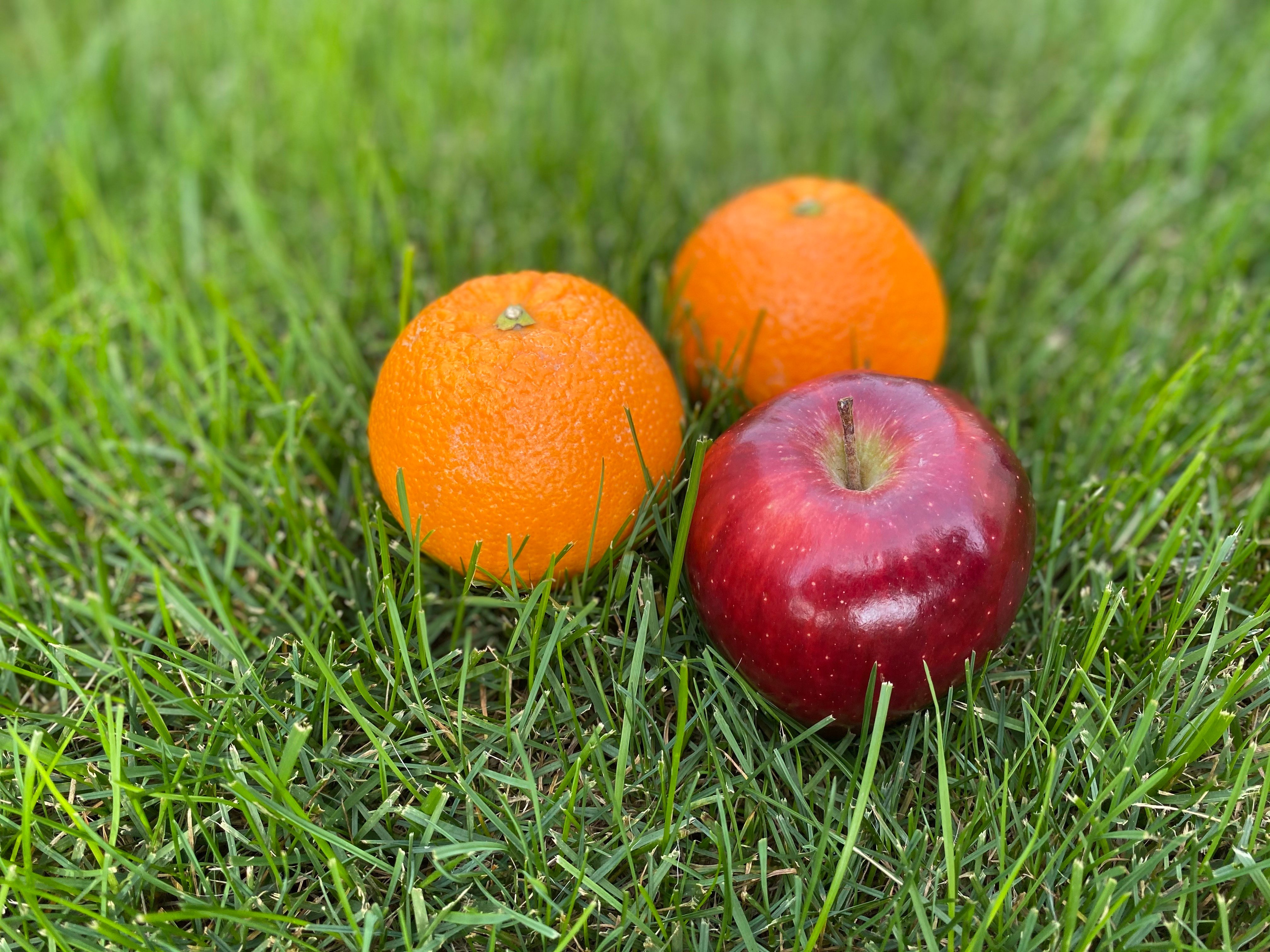 apple oranges grass