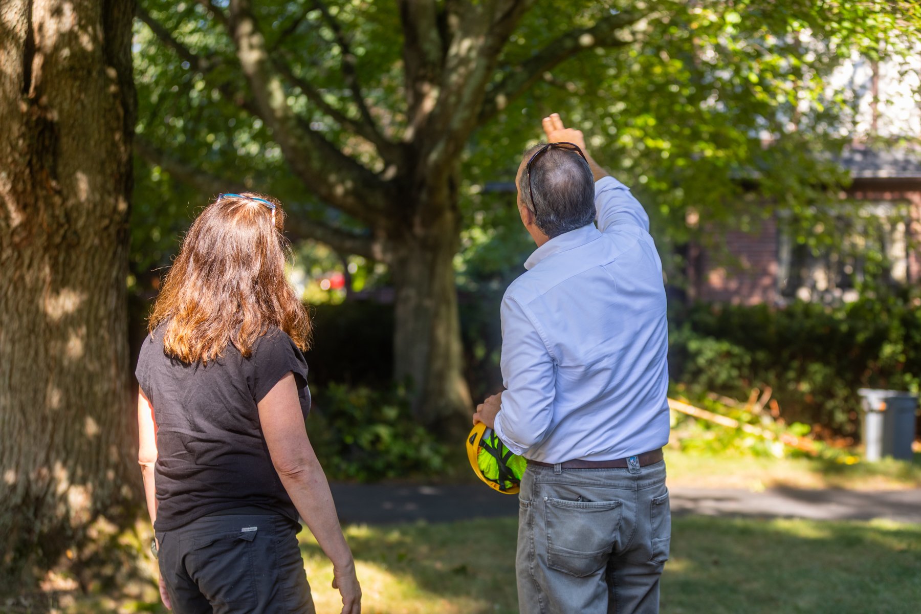 arborist and customer consultation - barrett tree service