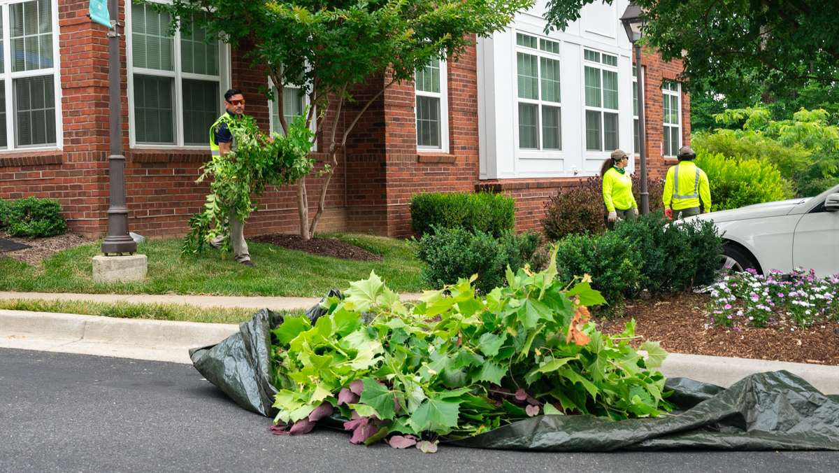 commercial landscaping - level green