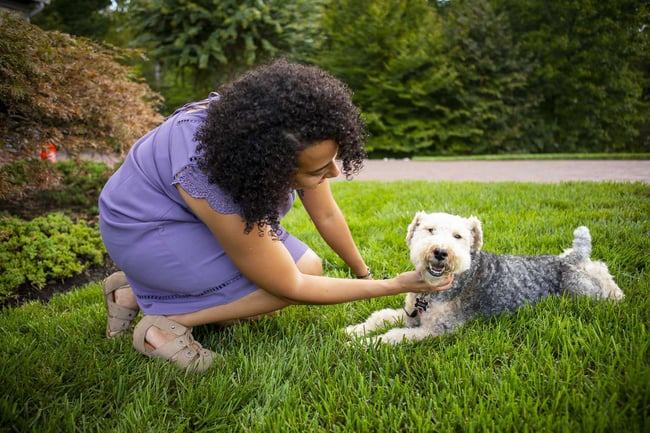 customer-dog-lawn - kingstowne