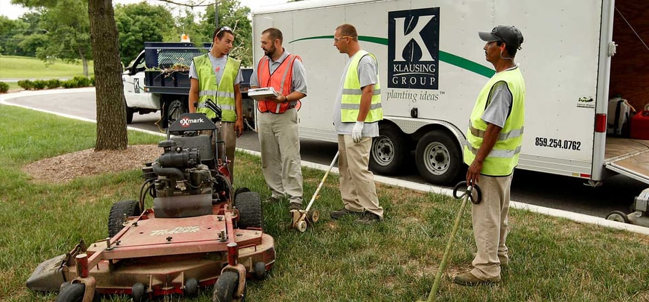 lawn care ideas