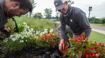 irrigation and seasonal color are profitable landscape services