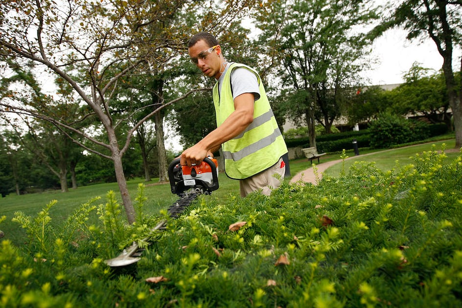 Tips, costs, and hacks to great landscaping photography in your marketing plan.