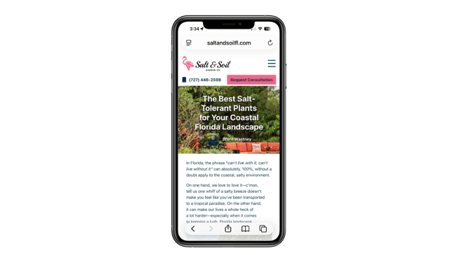 landscaping business blog - salt and soil garden co