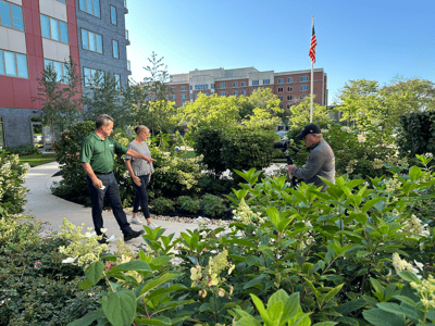 landscaping photography