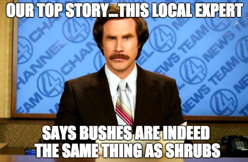 This Just In! 8 Tips to Get Featured in Local News Media