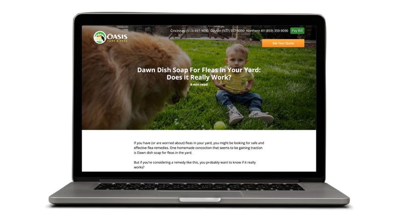 lawn care blog article
