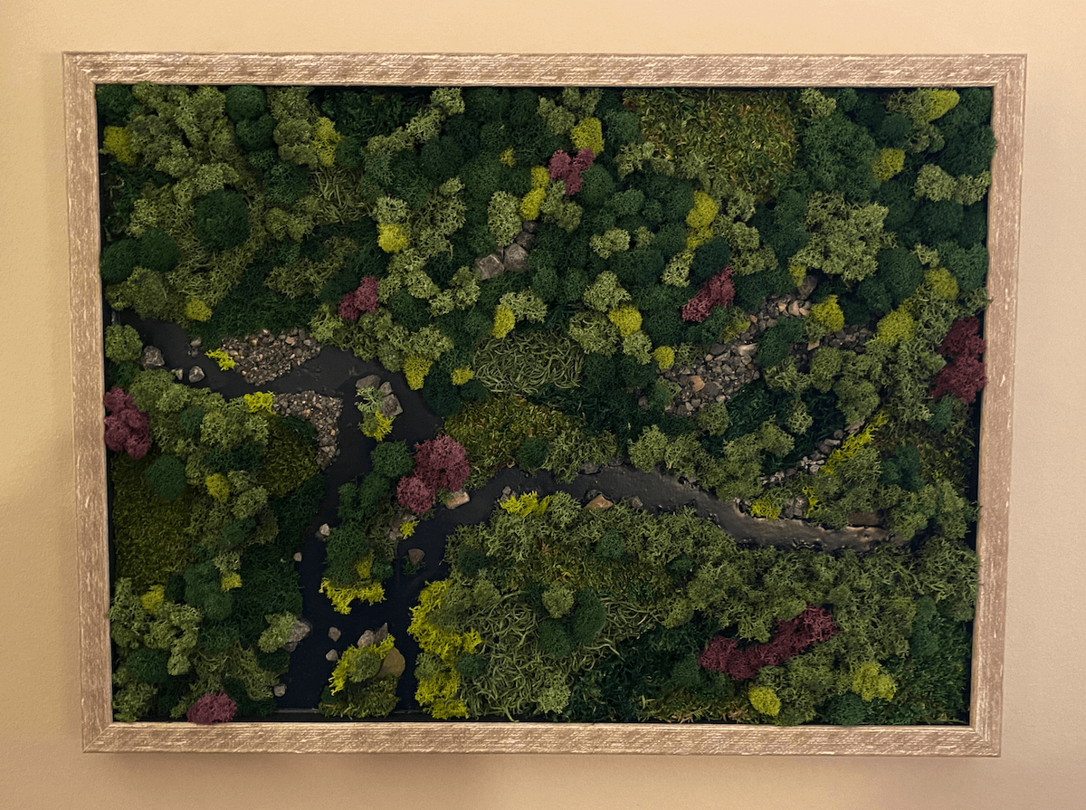 moss art - chad diller (1)