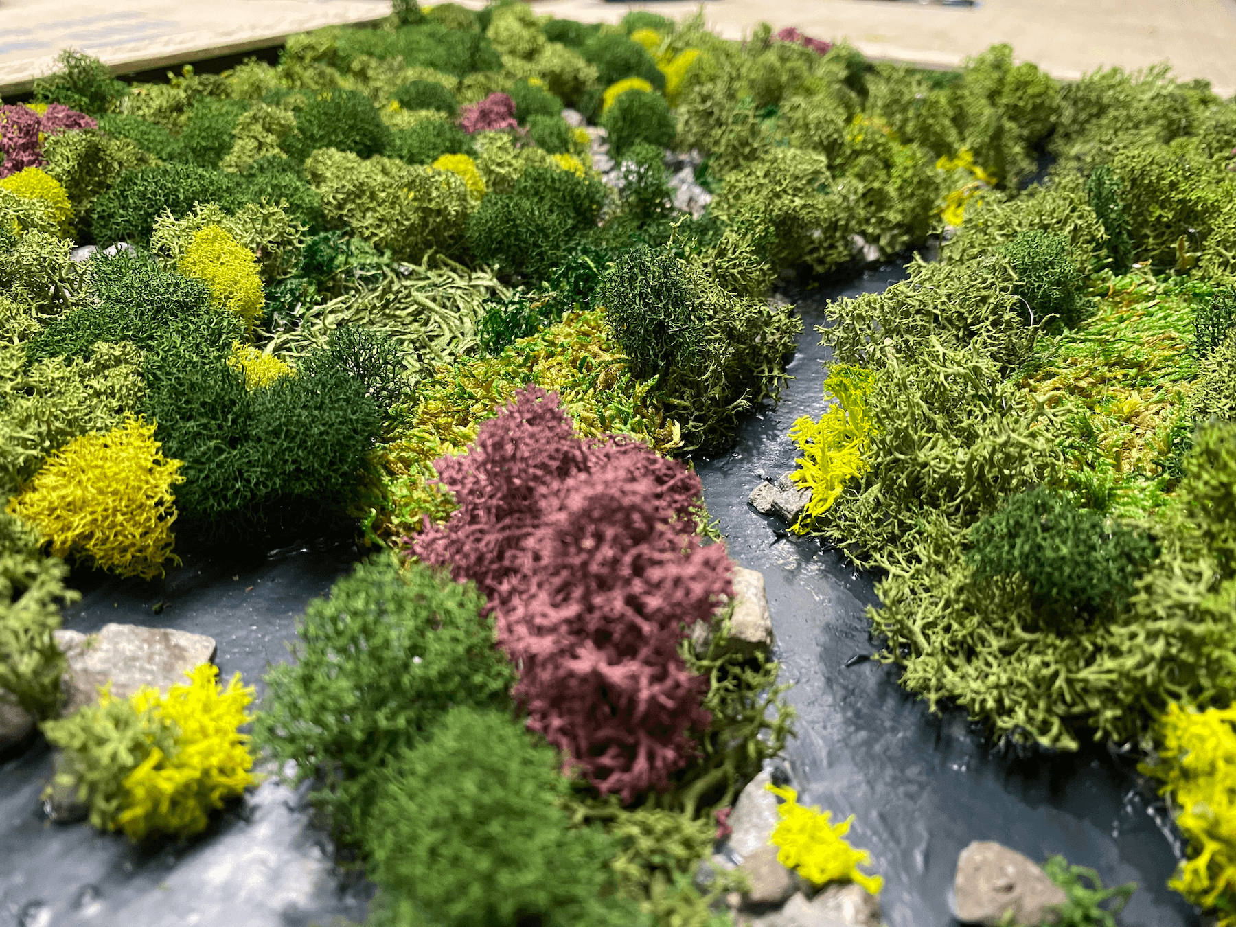 moss art - closeup - chad diller