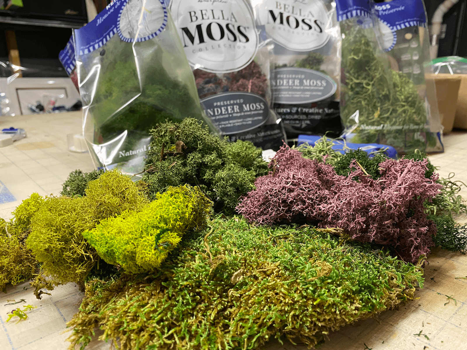 moss art materials