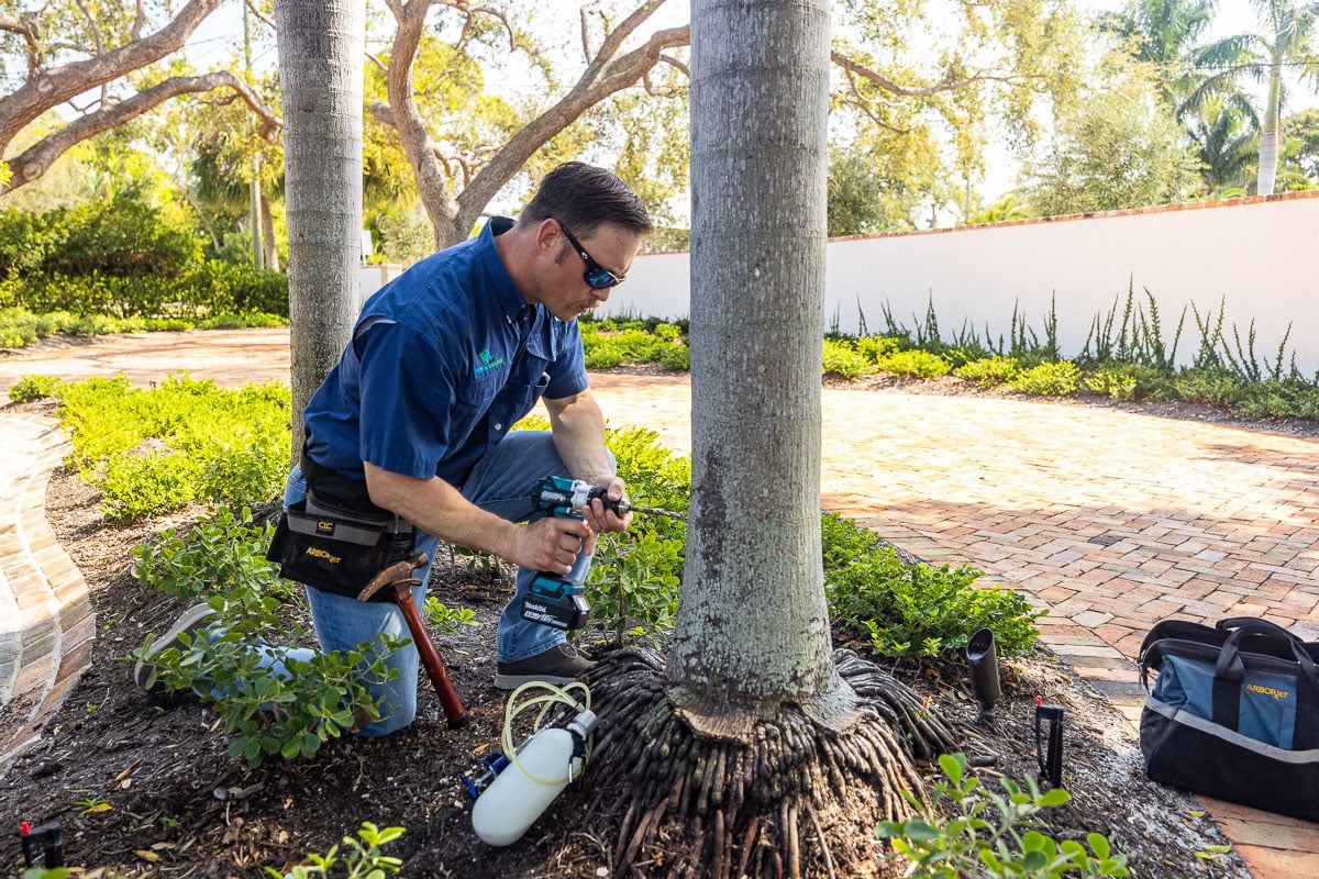 plant health care - tropical gardens