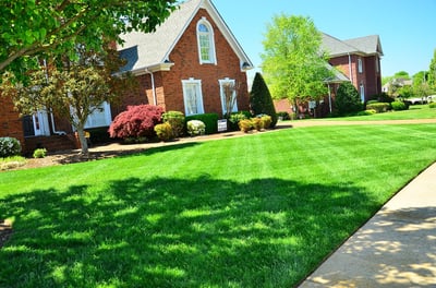 Discover why it's not necessary to hire a local marketing agency for your lawn care and landscaping business.