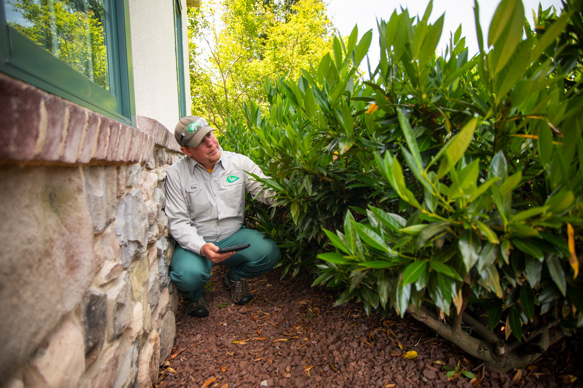 tree and shrub technician - inspection selling - joshua tree