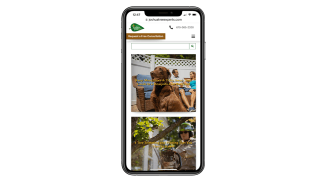 tree service blog - joshua tree experts
