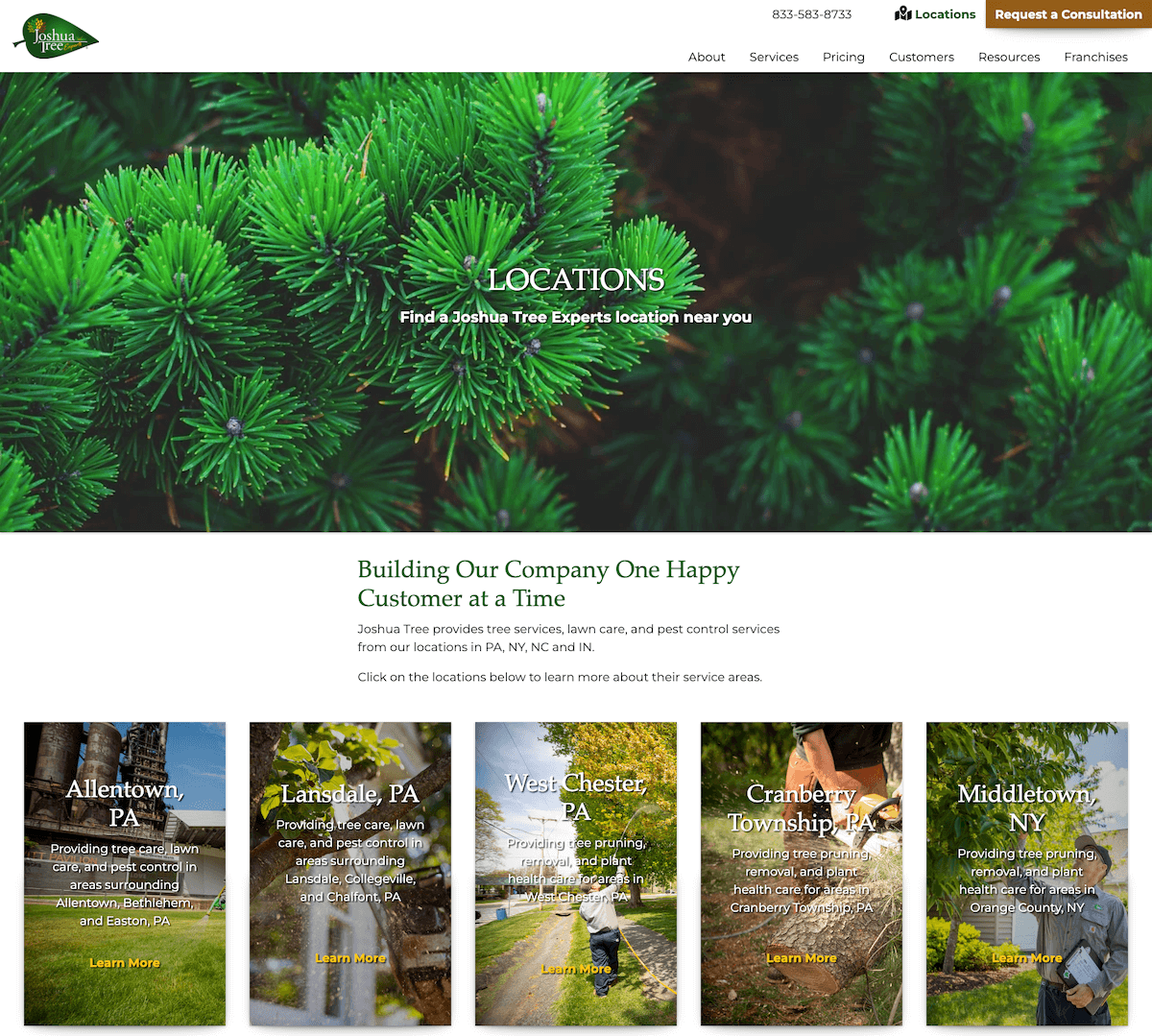 tree service locations - joshua tree