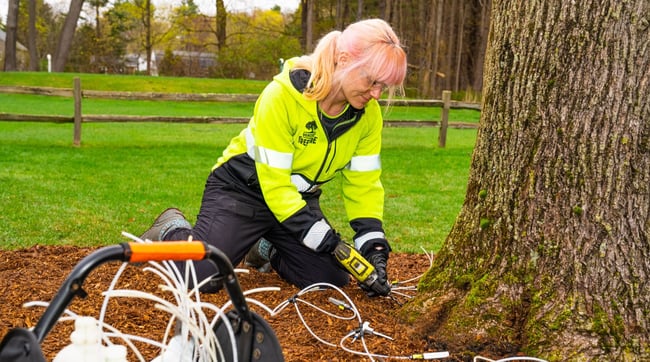 tree service photography-1