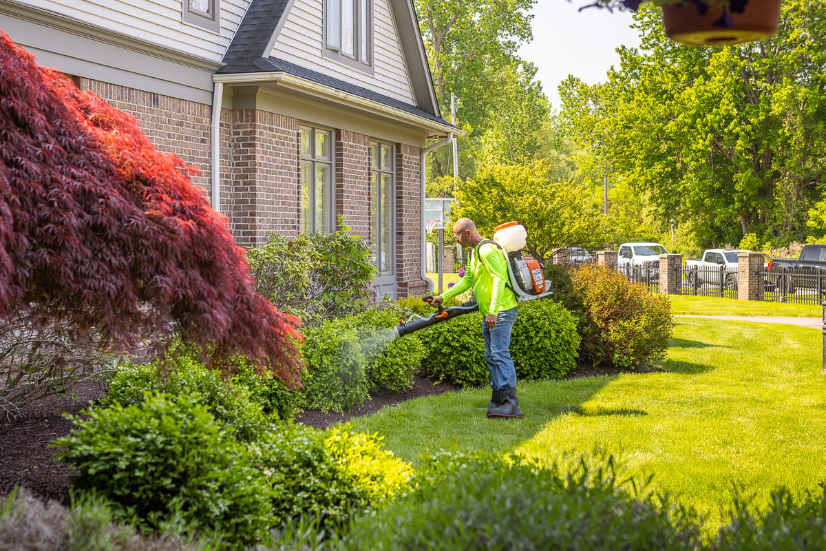 trimline mosquito control tehnician
