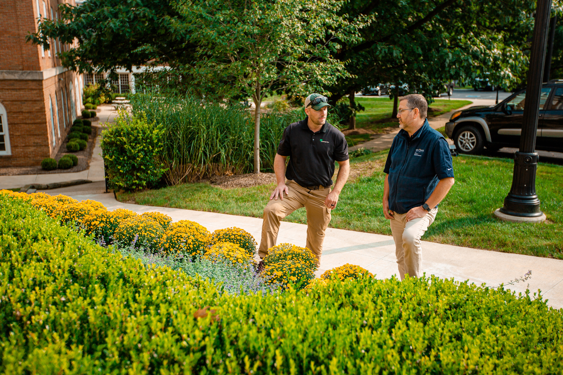 commercial landscaping - turfscape - 1