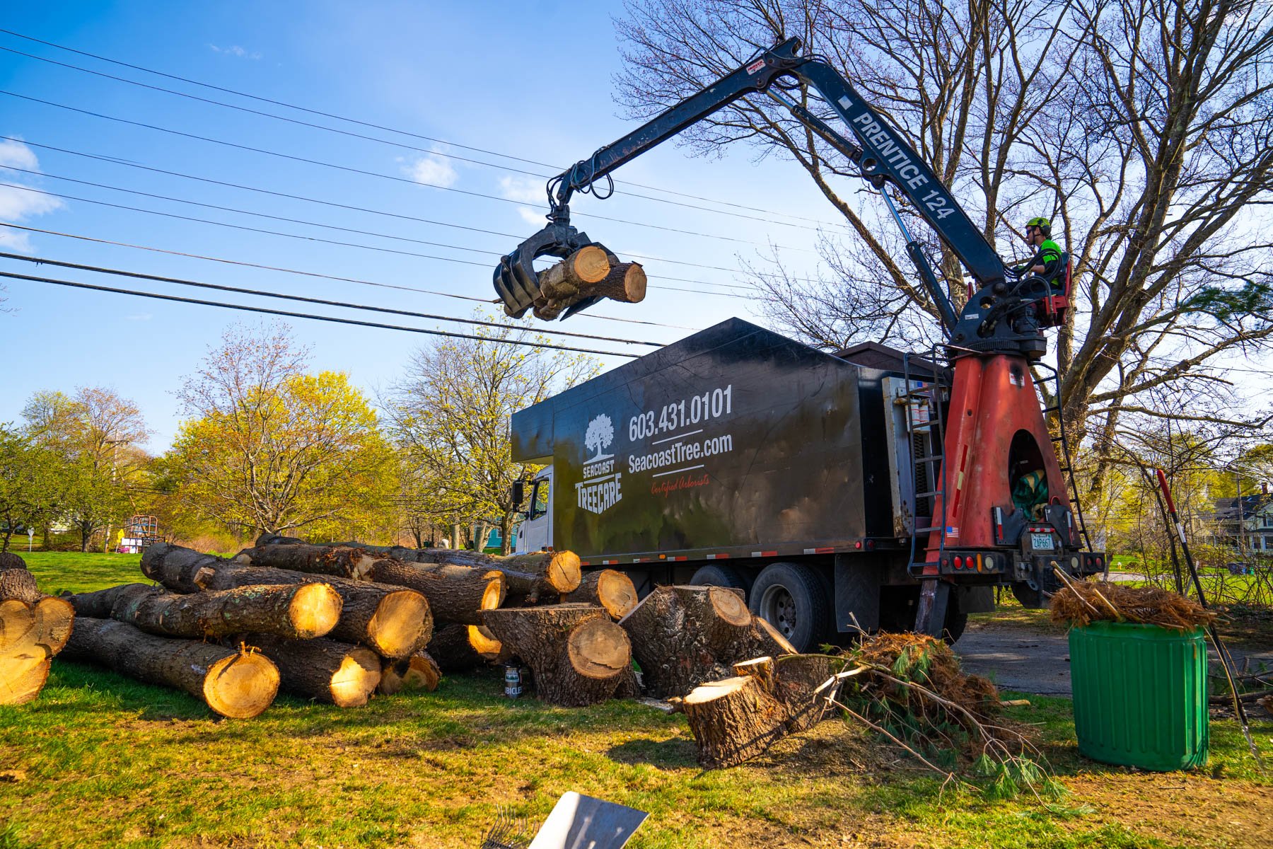 tree removal cleanup truck 5